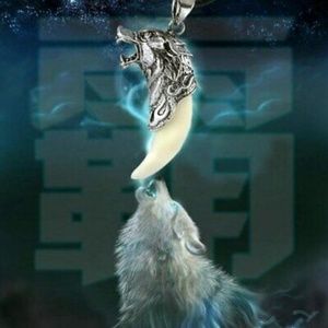 Men's Women's Titanium Silver White Wolf Fang